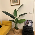 La Magnolia Firenze
