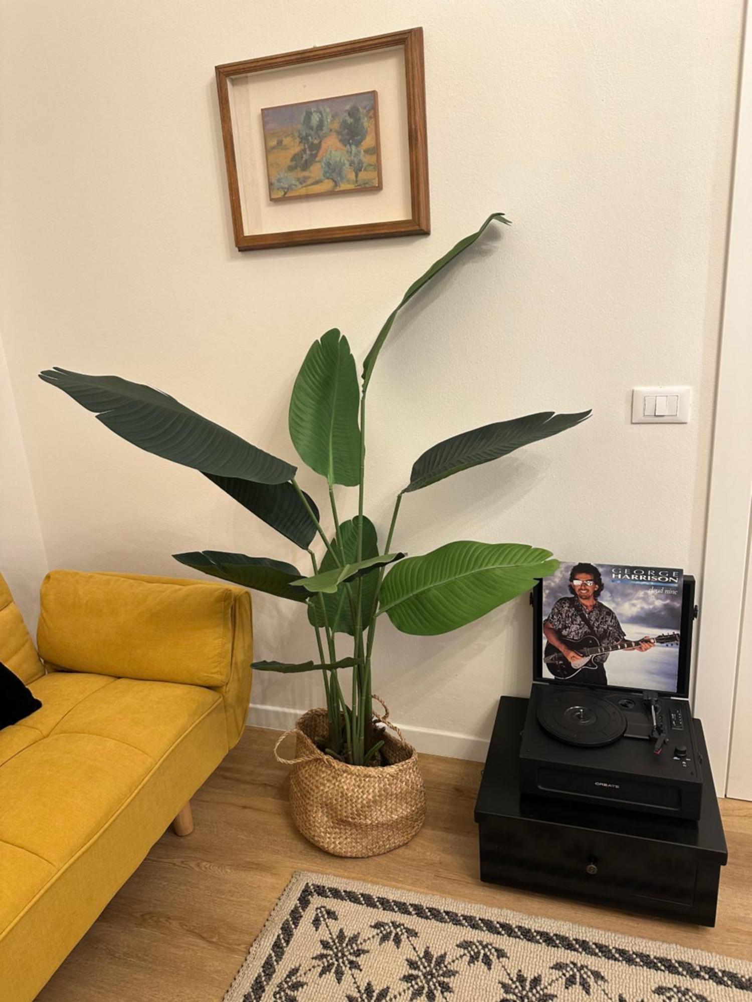 La Magnolia Appartamento *